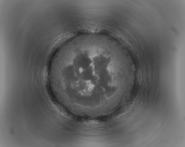 X0000115270594200911131809