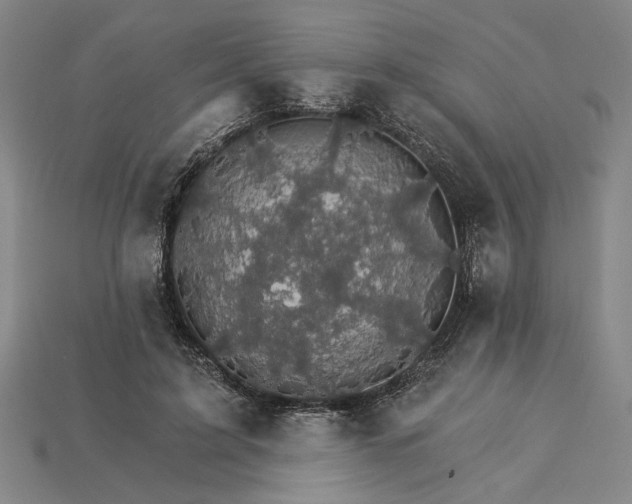 X0000115270595200911131809