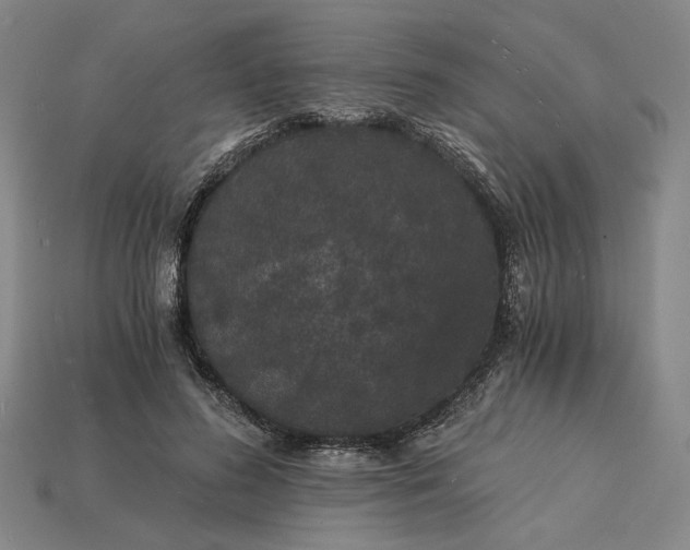 X0000115270596200911131809