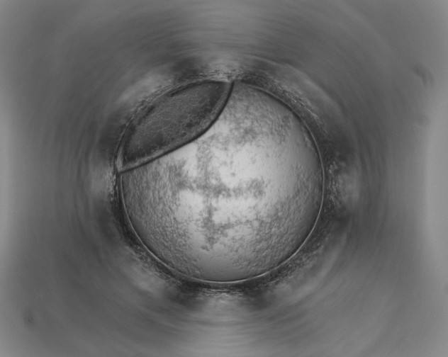 X0000115270597200911131809