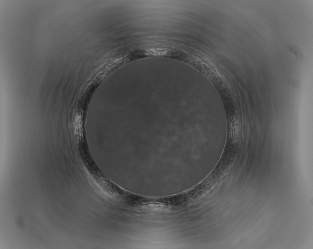 X0000115270598200911131809