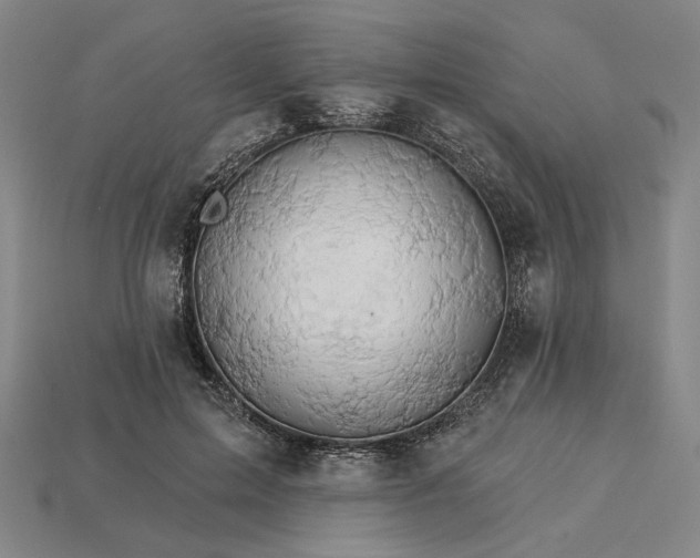 X0000115270599200911131809