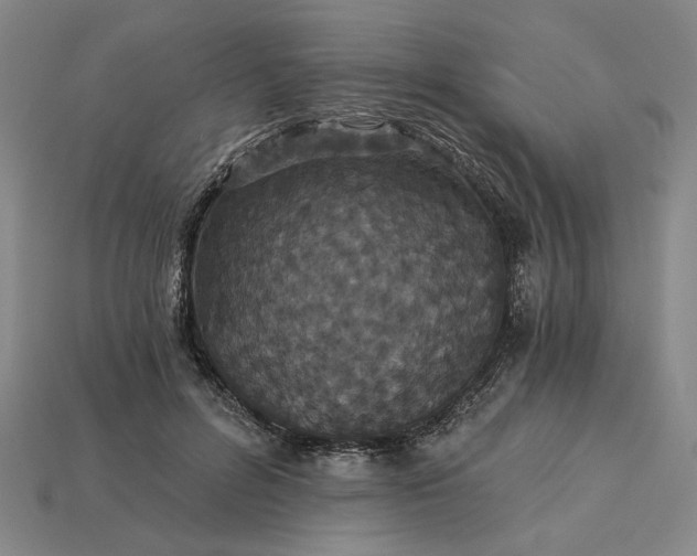 X0000115270600200911131809