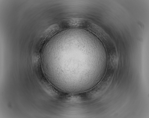 X0000115270601200911131809