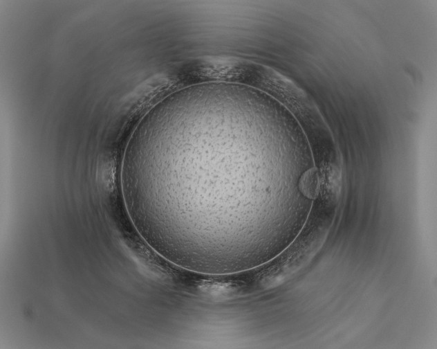X0000115270602200911131809