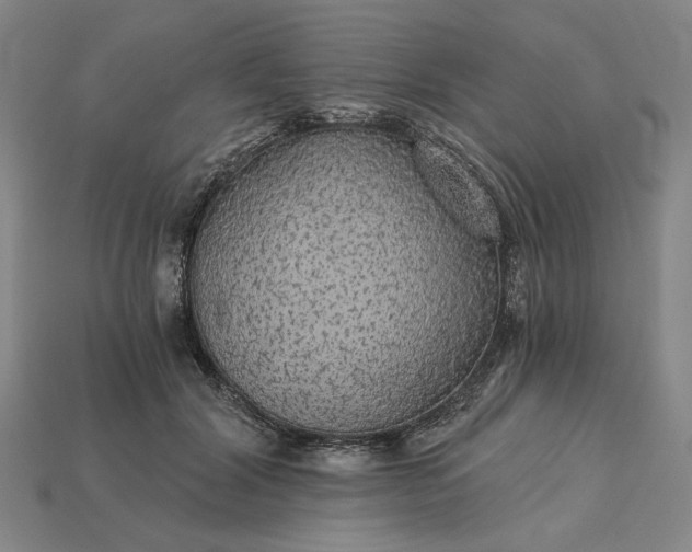 X0000115270604200911131809