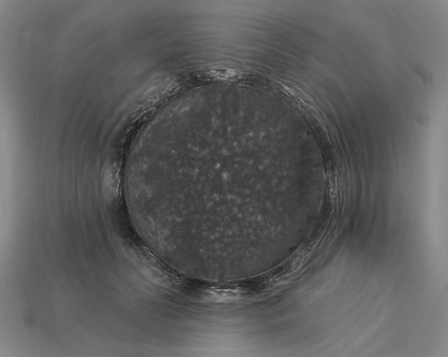 X0000115270606200911131809