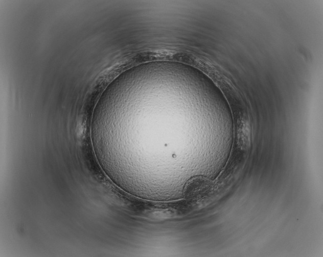 X0000115270608200911131809