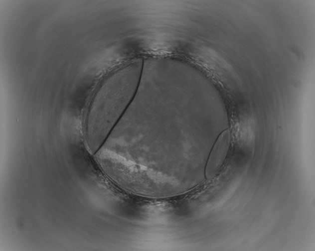 X0000115270609200911131809