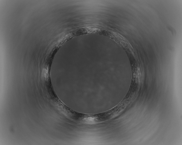 X0000115270610200911131809