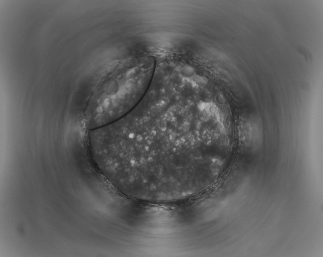 X0000115270611200911131809