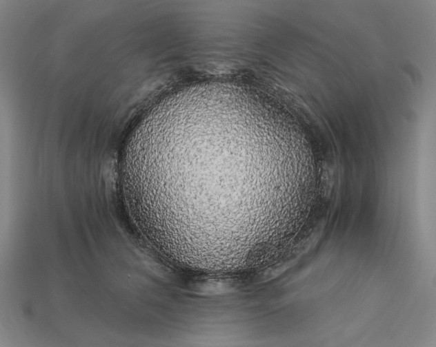 X0000115270612200911131809