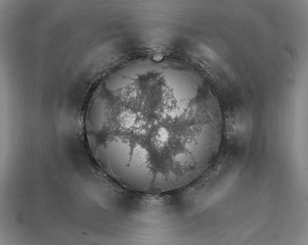 X0000115270613200911131809