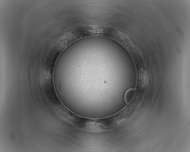 X0000115270614200911131809