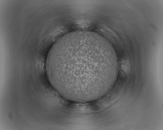 X0000115270615200911131809