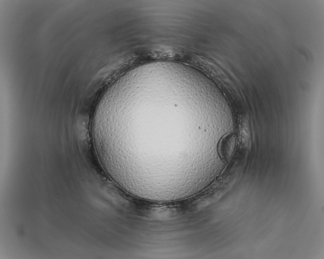 X0000115270616200911131809
