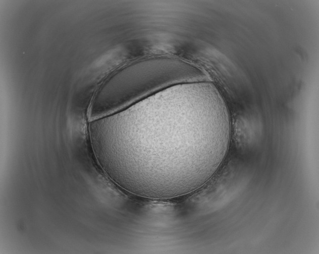 X0000115270617200911131809