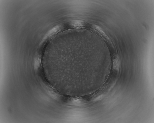 X0000115270618200911131809
