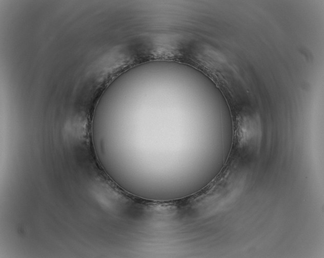 X0000115270619200911131809