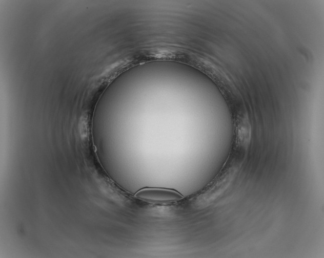 X0000115270620200911131809