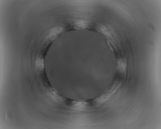 X0000115270621200911131809