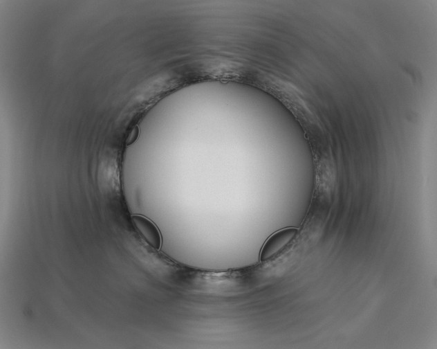 X0000115270622200911131809