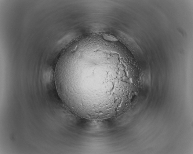 X0000115270623200911131809