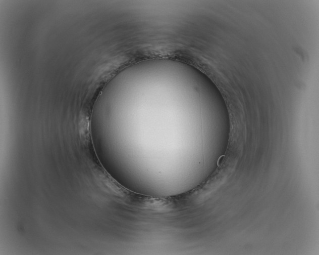 X0000115270624200911131809