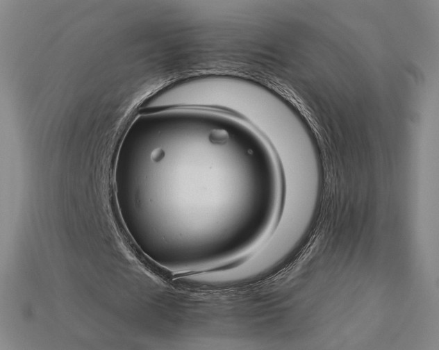 X0000115270625200911131808