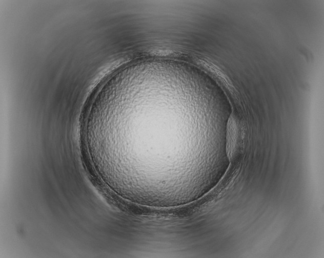 X0000115270626200911131808