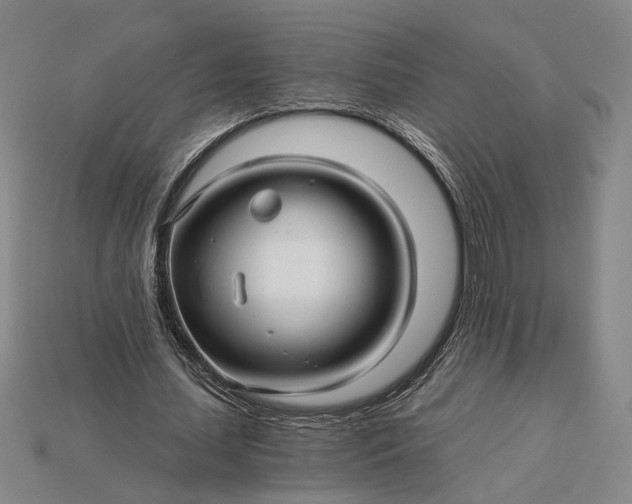 X0000115270627200911131808