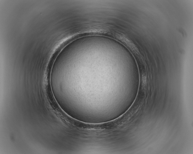 X0000115270628200911131808