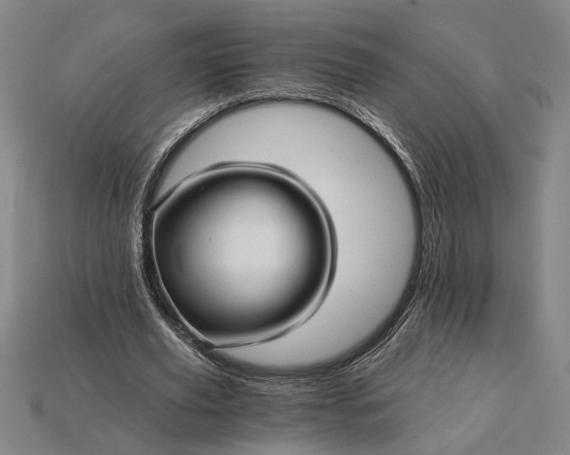 X0000115270629200911131808