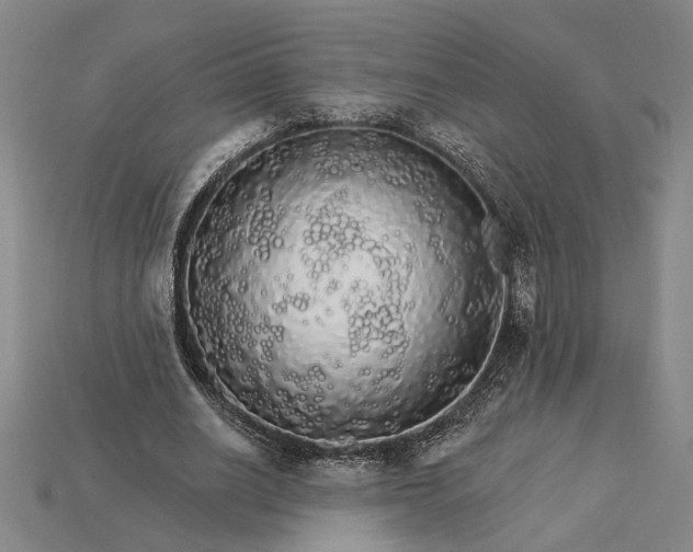 X0000115270630200911131808