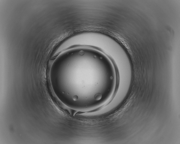 X0000115270633200911131808