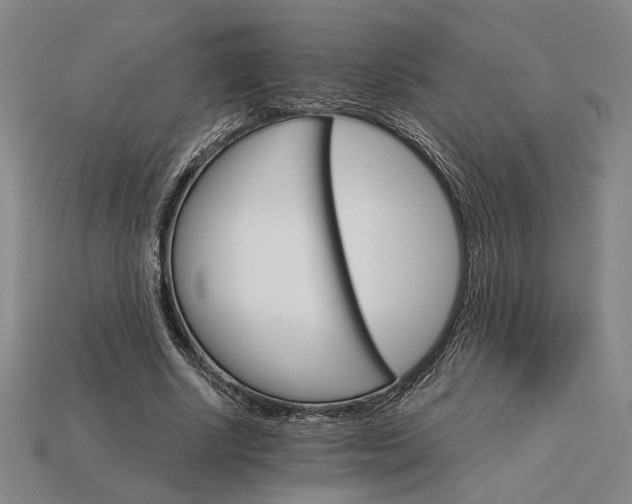 X0000115270634200911131808