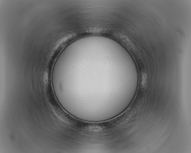 X0000115270636200911131808