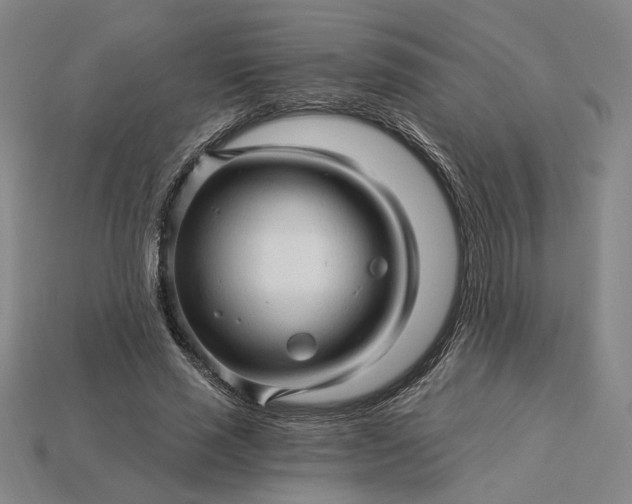 X0000115270637200911131808