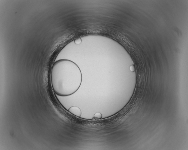 X0000115270638200911131808