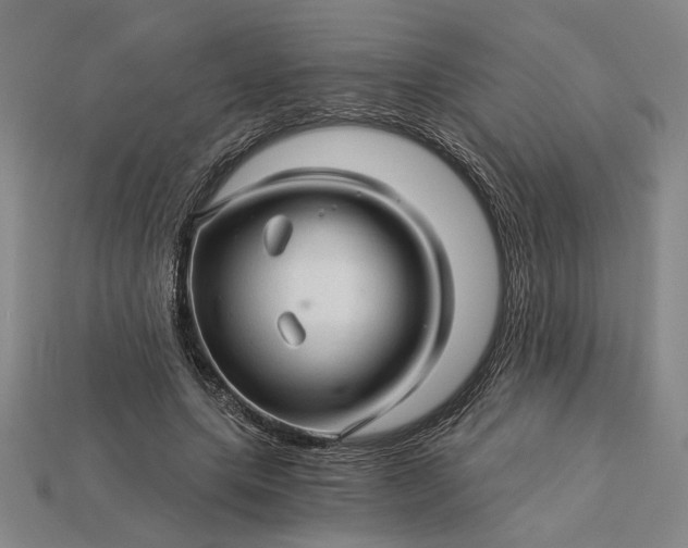 X0000115270639200911131808