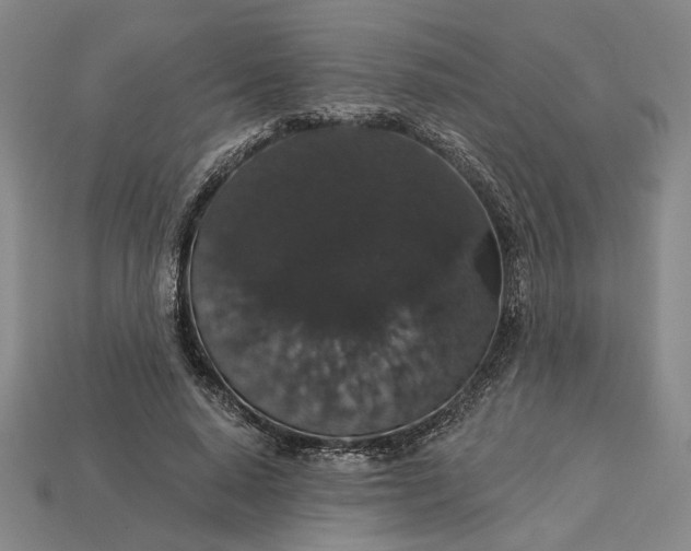 X0000115270640200911131808