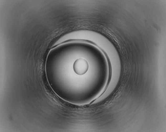 X0000115270641200911131808