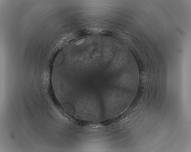 X0000115270642200911131808