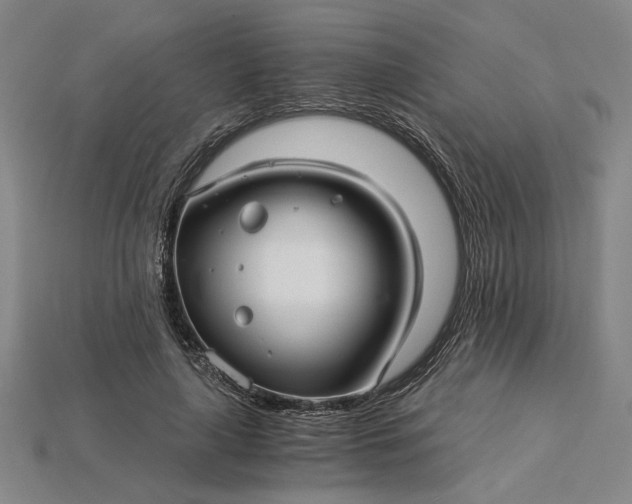 X0000115270643200911131808