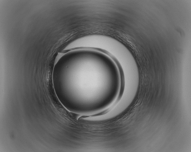 X0000115270645200911131808
