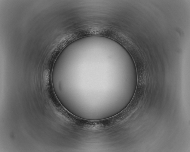 X0000115270646200911131808