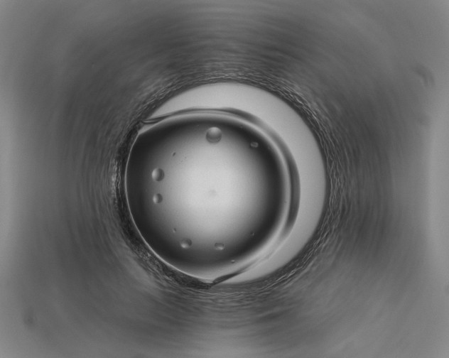 X0000115270647200911131808