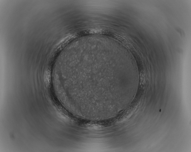 X0000115270648200911131808