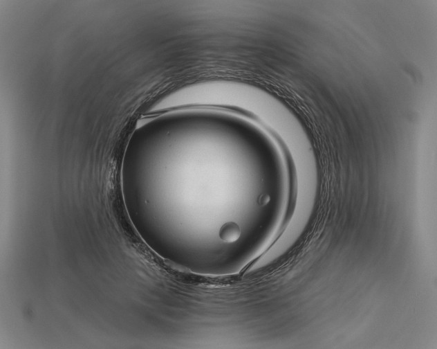 X0000115270649200911131808