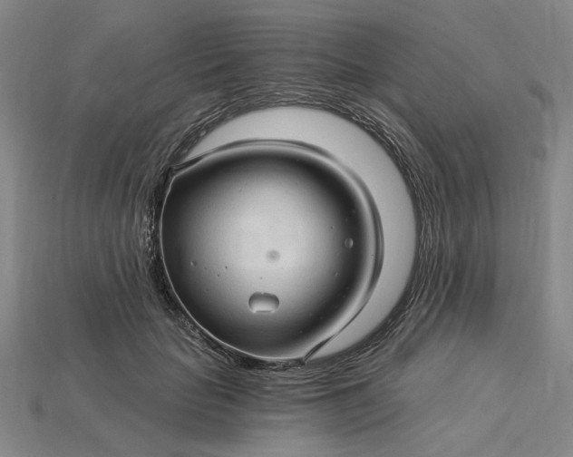 X0000115270653200911131808